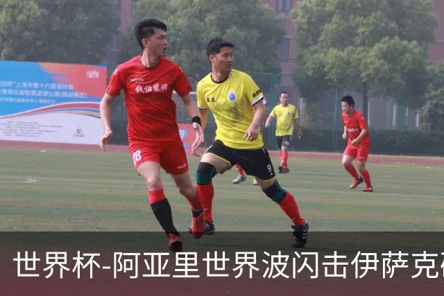 世界杯-阿亚里世界波闪击伊萨克破门 半场瑞典2-1突尼斯